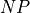 NP